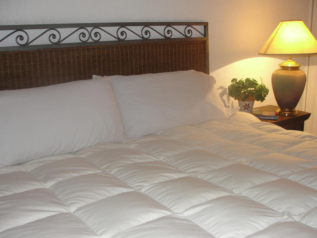 Steinhaus Suites Homero مدينة مكسيكو المظهر الخارجي الصورة