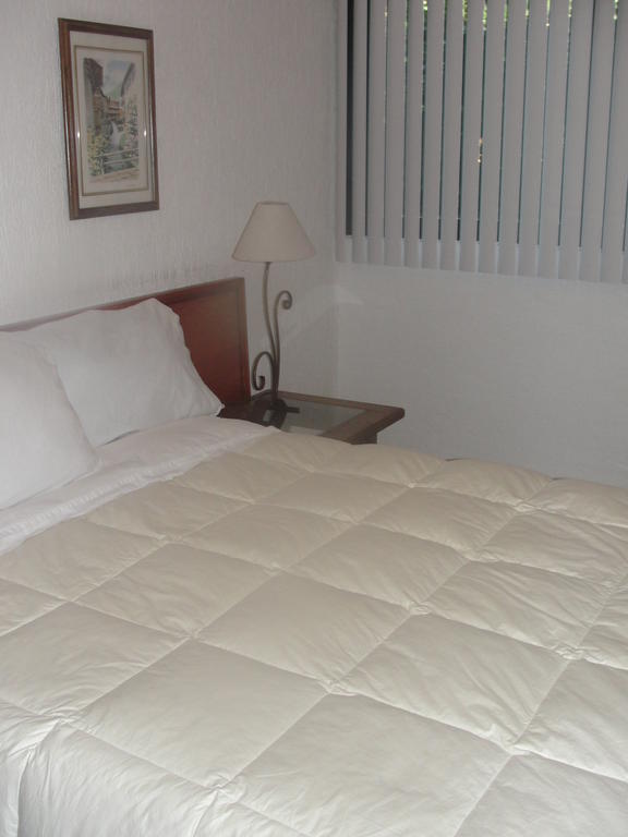 Steinhaus Suites Homero مدينة مكسيكو المظهر الخارجي الصورة
